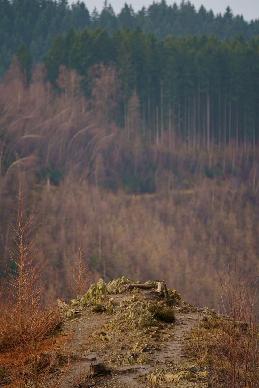 Belgisch landschap en wandeltocht