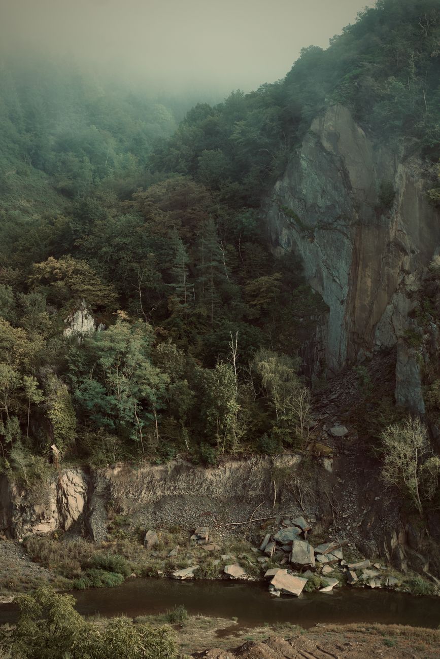 Ardense bossen en mistige rivier